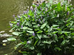 -常州古运河南大街文化旅游区-人民公园