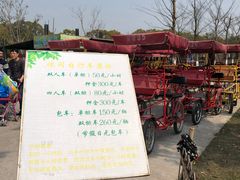 -上海长兴岛郊野公园