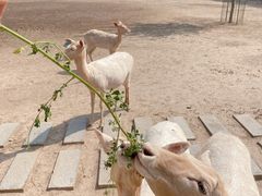 景点-南海子公园