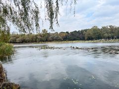 -长春市南湖公园