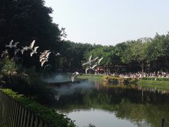 -广州长隆飞鸟乐园