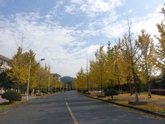 -浙江农林大学(东湖校区)