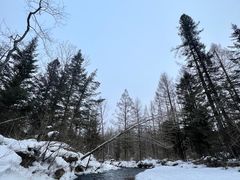 -长白山万达喜来登度假酒店