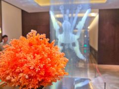 -丽晶轩中餐厅(重庆丽晶酒店)