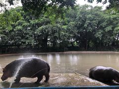 -广州长隆飞鸟乐园