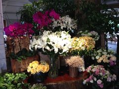 iphone_upload_pic-春暖花开(西溪店)
