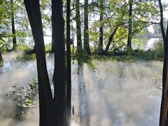 -东湖落雁景区