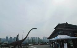 -恐龙探索乐园(磁器口店)
