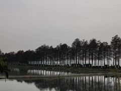 -凯德广场(武胜路店)