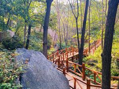 -大岭沟猕猴桃谷风景区
