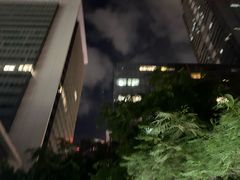 -深圳星河丽思卡尔顿酒店