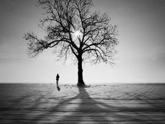 -清真·锦翔炝锅鱼(明德门店)