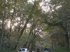 -紫金山山顶公园