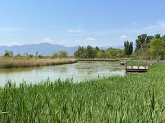 -野鸭湖国家湿地公园