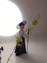 -大树儿童摄影