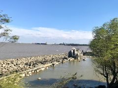 -吴淞炮台湾湿地森林公园烧烤区