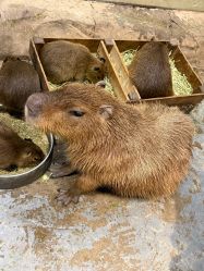 -Zoolung Zoolung动物主题公园(海信广场店)