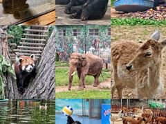 -西安秦岭野生动物园