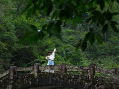 -龙湾潭国家森林公园