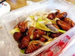 -潮庭·大连海鲜·炭火烧烤·扇贝王(大连店)