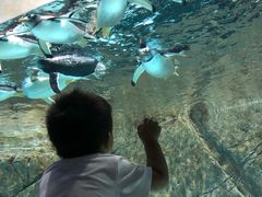 -成都浩海立方海洋公园