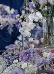 -明典婚礼策划·婚车租赁·婚纱摄影