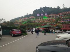 -枇杷园食为鲜火锅(南山店)