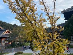 -四明山国家森林公园
