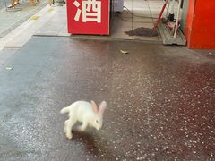 -华兴街自力面店