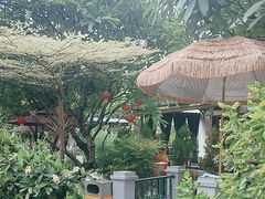 -天然居(伦教店)