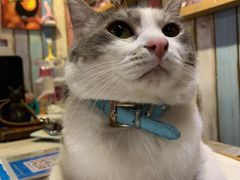 -小时光咖啡馆(开森度假森林店)
