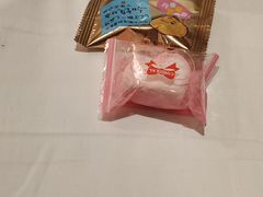 -嘉瑞酒店有限公司