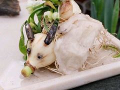 -共青国家森林公园-售票处
