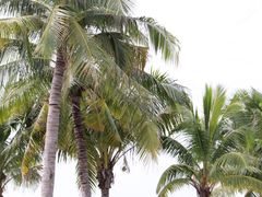 -三亚西岛海洋文化旅游区