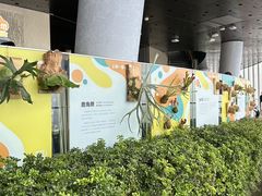 -上海之巅观光厅