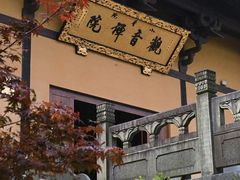 -平湖九龙山旅游度假区