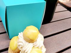 -Madeleine玛德琳(永平里店)