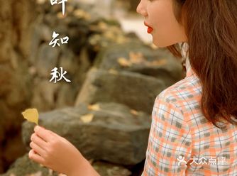 想要腾冲看银杏一定不要去早了！