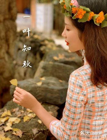 想要腾冲看银杏一定不要去早了！