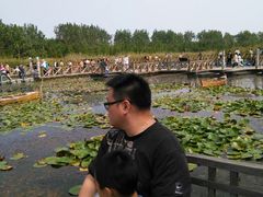 android_upload_pic-溱湖国家湿地公园