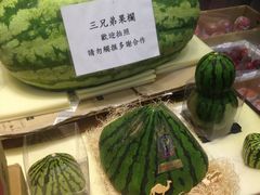 -油麻地果栏