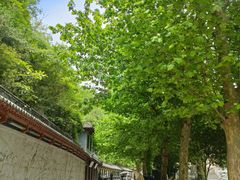 -汉中石门栈道风景区