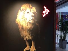 -老鼎旺安格斯牛肉火锅(衡艺广场店)