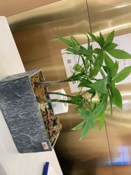 -一東造型烫发染发