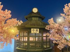 -武汉知音号