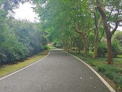 -宜兴龙背山森林公园