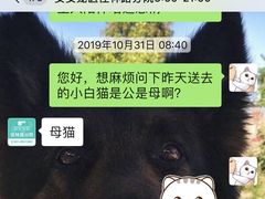 -安安宠物医院(佳林路分院)