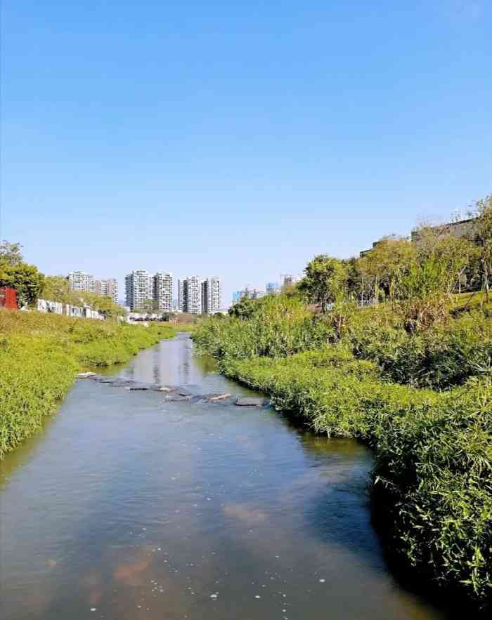 九祥岭湿地公园