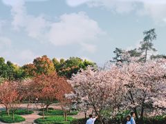 -南山植物园