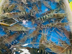 -南沙十九涌渔人码头-南门